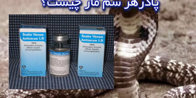 پادزهر نیش مار چیست