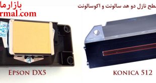 مقایسه هد سالونت و اکوسالونت