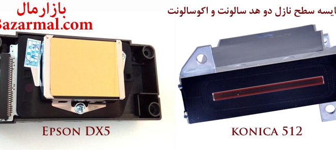 مقایسه هد سالونت و اکوسالونت